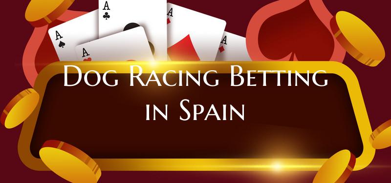 Dog Racing Betting in Spain